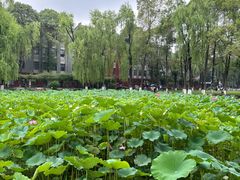 -四川大学(望江校区)