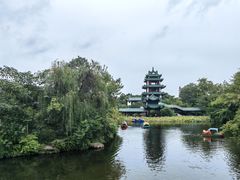 -桂湖森林公园