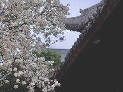 -龙华寺
