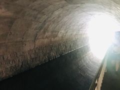 -白水寺森林公园