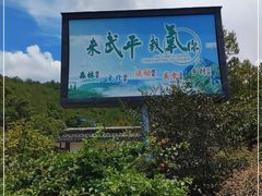 -梁野山景区