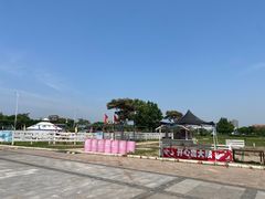 -东疆理想海岸沙滩景区