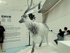 -中国湿地博物馆