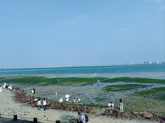 -集美学村