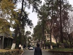 -浙江农林大学(东湖校区)