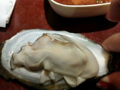 -鼎尊锅物料理(五角场店)