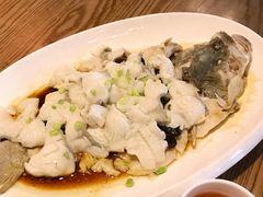 鲈鱼-金苑酒家·客家菜·广东老字号(万象店)