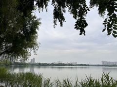 -高子水居