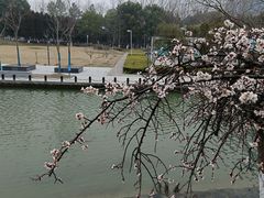 -白塘生态植物园
