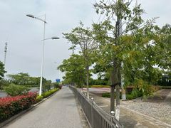 -春花秋色城市公园