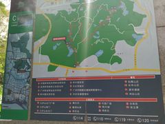 景点-火炉山森林公园