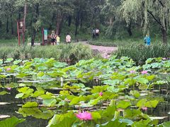 -承德避暑山庄景区
