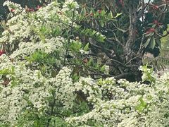 -贵州省植物园