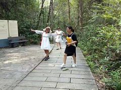 -九龙江国家森林公园