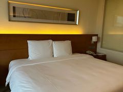 -上海浦东康桥绿地假日酒店