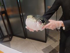 -鲐赏河豚(长寿店)