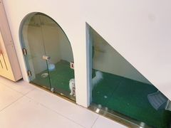 -当汪遇见喵宠物店