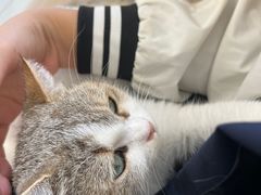 -怪兽屋·羊驼·猫咖·狗咖(俊华广场店)