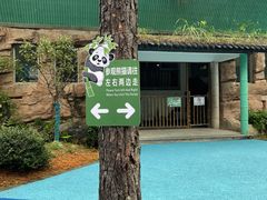 -安吉竹博园