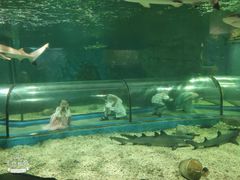 -福州罗源湾海洋世界旅游区