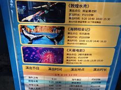 -烟台海昌鲸鲨海洋公园