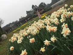 -保利石象湖景区