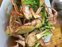 -盐洲岛