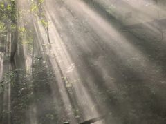 -青青世界