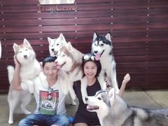 -TrueLove @ Neverland (Husky Cafe)