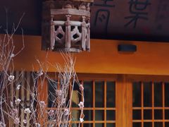 -晋江五店市传统文化旅游区