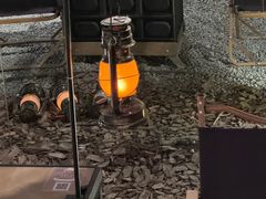 -J Create城市露营咖啡·简餐·宠物(上海动物园店)