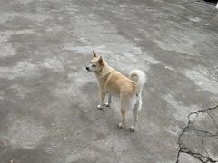 -杭州天目山静雅居农家乐