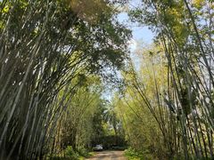 -海南热带野生动植物园