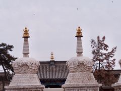 -大召寺明清一条街