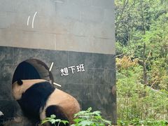 -碧峰峡风景区