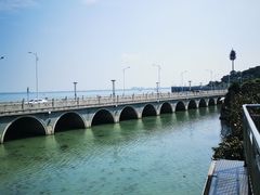 -临水阁农家乐饭店