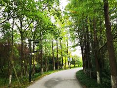 -狼山风景名胜区