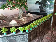 -江南足纪·影院足道·轻奢SPA(红山6979店)