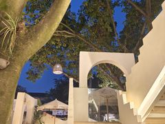 -三圣花乡旅游区