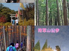 -紫金山天文台