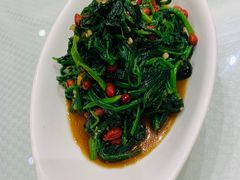 -双井轩(双井店)