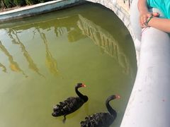 -蓬莱欧乐堡梦幻世界