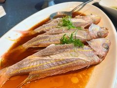 -闽海肴(北辰荟店)