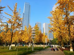 -重庆市江北嘴中央商务区中央公园