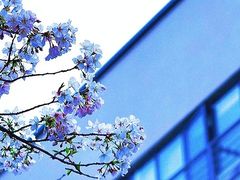 -浙江大学(玉泉校区)