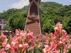 -广州市石门国家森林公园