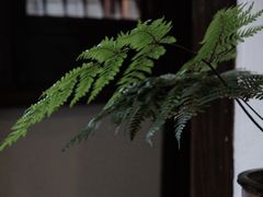 -花迹·金陵南京菜(老门东店)