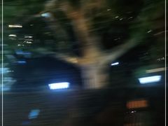 -Apollo·西班牙小酒馆(安福路店)