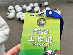-都江堰中华大熊猫苑