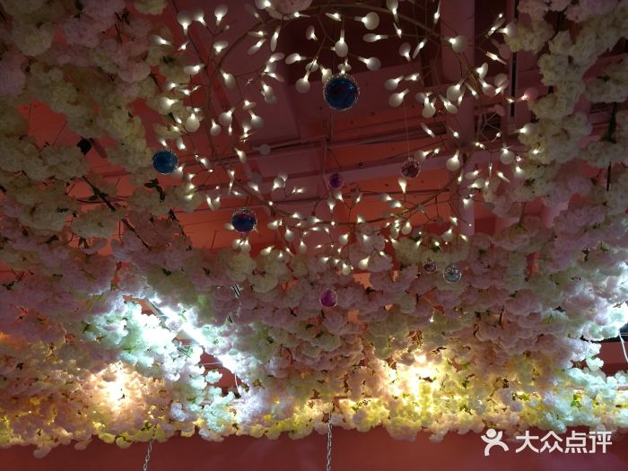 pink baby·新晋网红打卡地图片